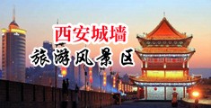 巨吊搞骚逼免费视频中国陕西-西安城墙旅游风景区